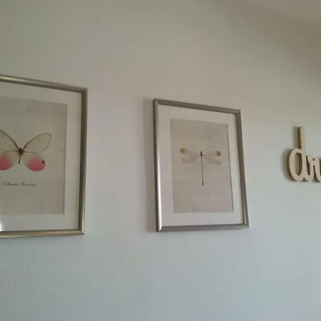 Apartment Centro